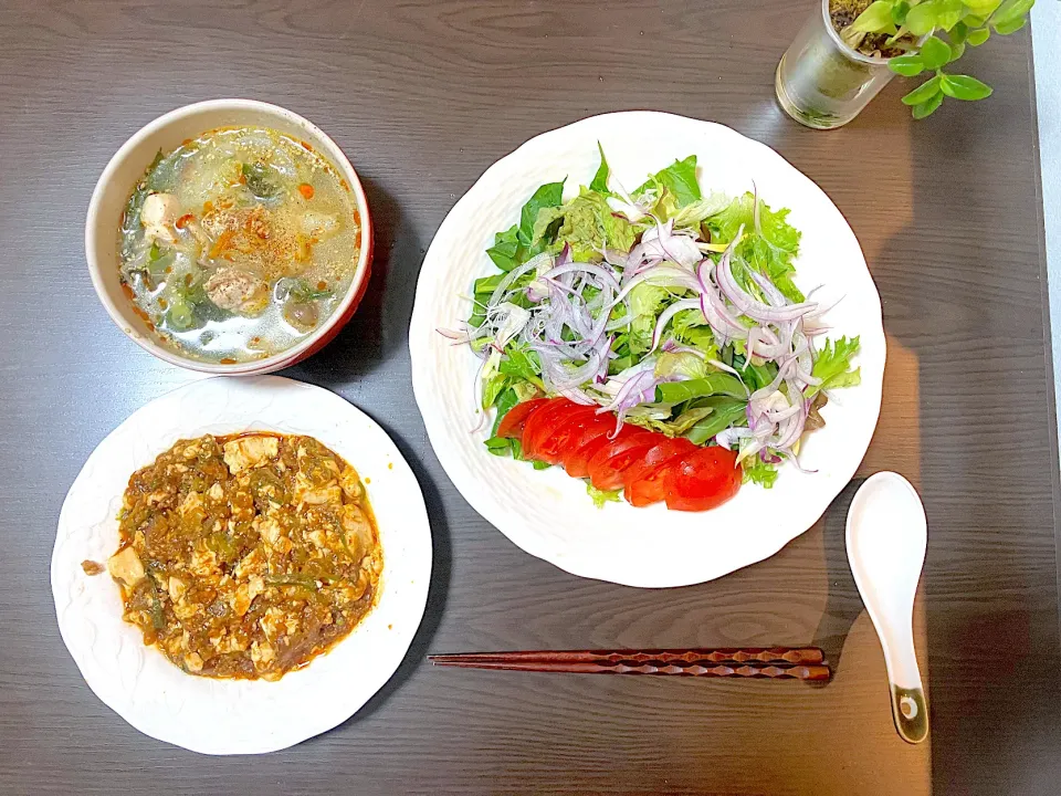 四川風麻婆豆腐、鶏もも肉と野菜だらけの中華スープ、露店野菜サラダに手作りドレッシング|tatsuponさん