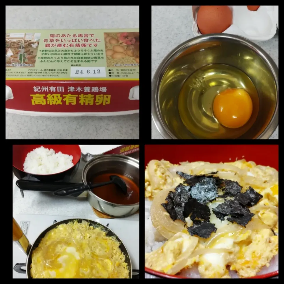 紀州有田の有精卵で玉子丼|kamekameさん