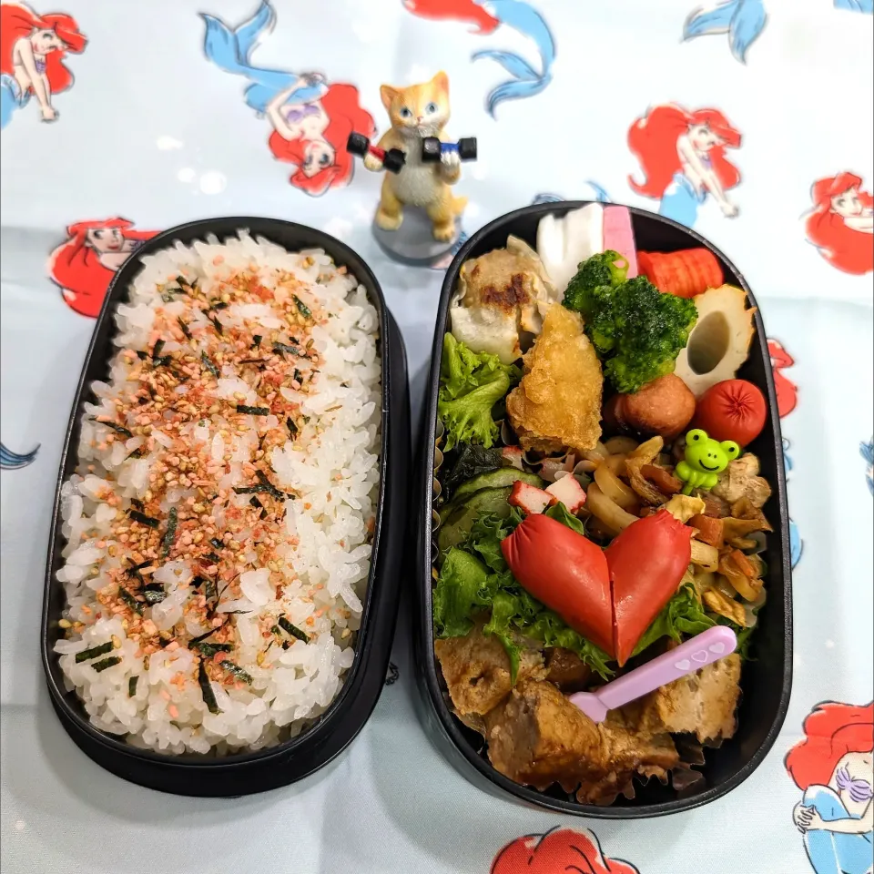 Snapdishの料理写真:2024年5月24日（金）のお弁当🍱。|ママちんさん