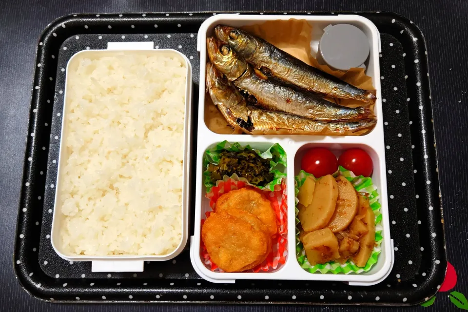 今日の手作り弁当は、めざし・唐揚げ弁当。

献立は、
・ごはんは高知県産コシヒカリ
・めざし（いわし丸干し）、大根おろし
・鶏唐揚げ、高菜漬
・たけのこの土佐煮、ミニトマト|Mars＠釜飯作り研究中さん