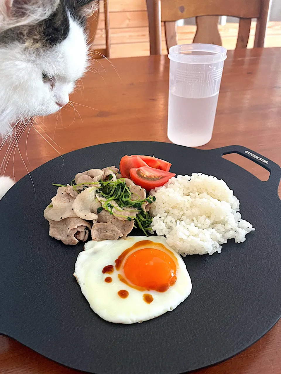 Snapdishの料理写真:グリルプレートランチ|chieko ♪さん