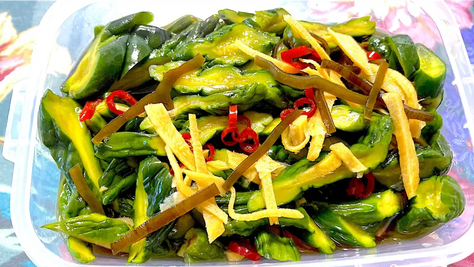 きゅうりの🥒Qちゃん|みーこさん