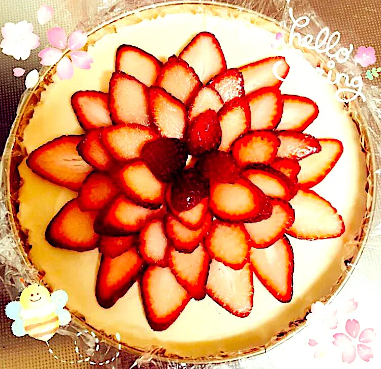 🍓レアチーズケーキ❤️|しょこたん😋さん