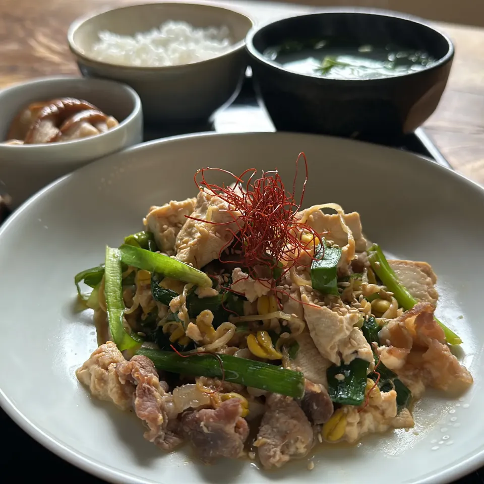 豆腐と野菜の甘辛炒め|くまちゃんさん