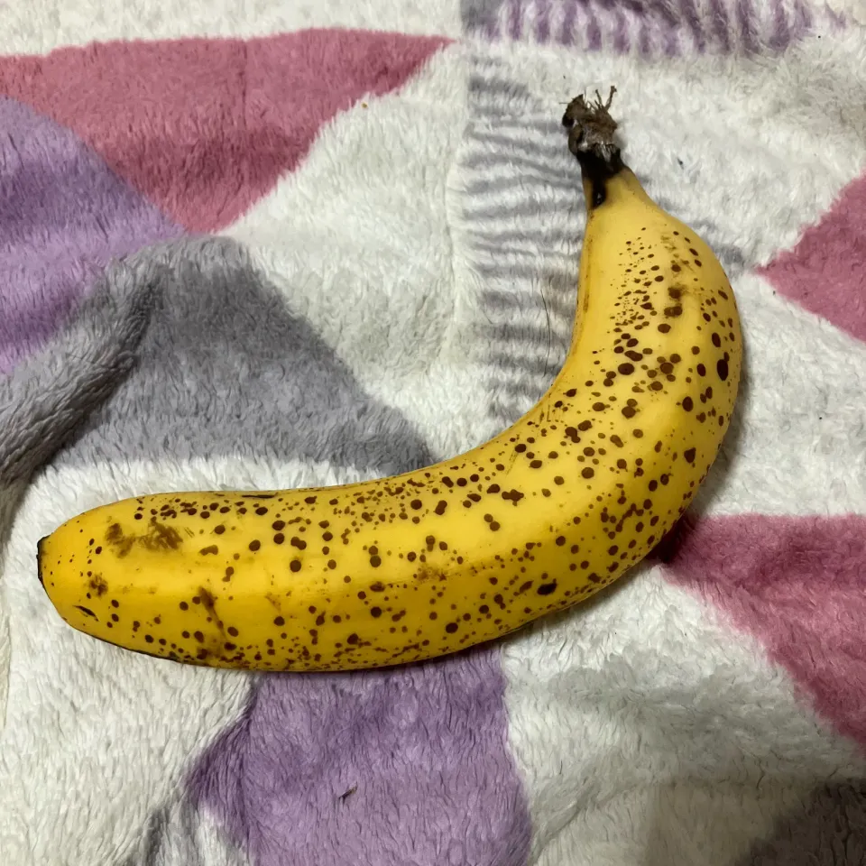 朝食 240528|maixx ใหม่さん