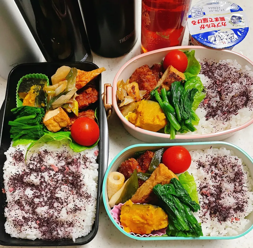 今日のお仕事&学校弁当♪2024.5.28|ぐぅさん