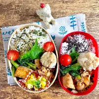 Snapdishの料理写真:本日のお弁当🍱|syamさん