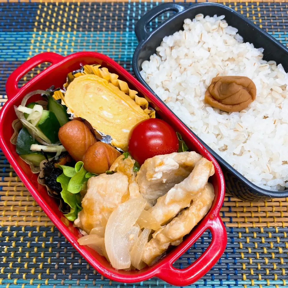 今日の旦那さんのお弁当|naoさん