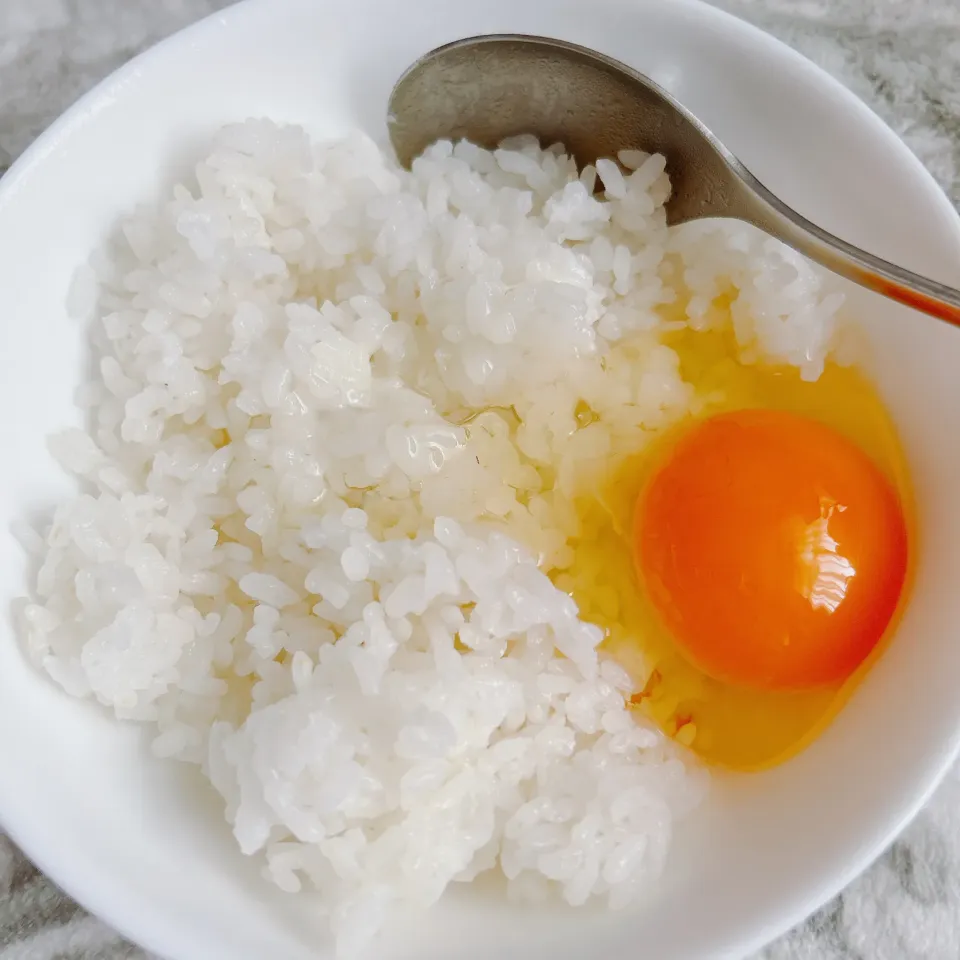 お昼ご飯|まめさん