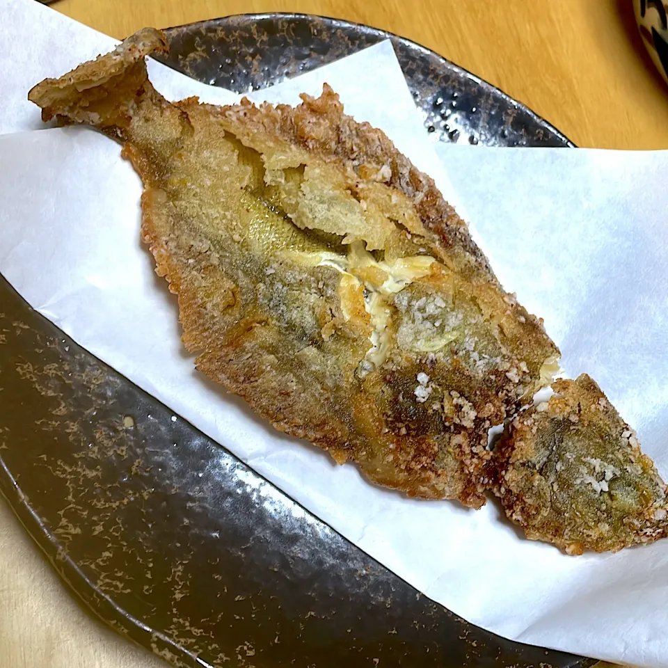 長男くんが釣ったカレイ🐟|abekoさん