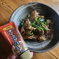 Snapdishの料理写真:ニラと豚肉の炒め物|みかとぅーさん