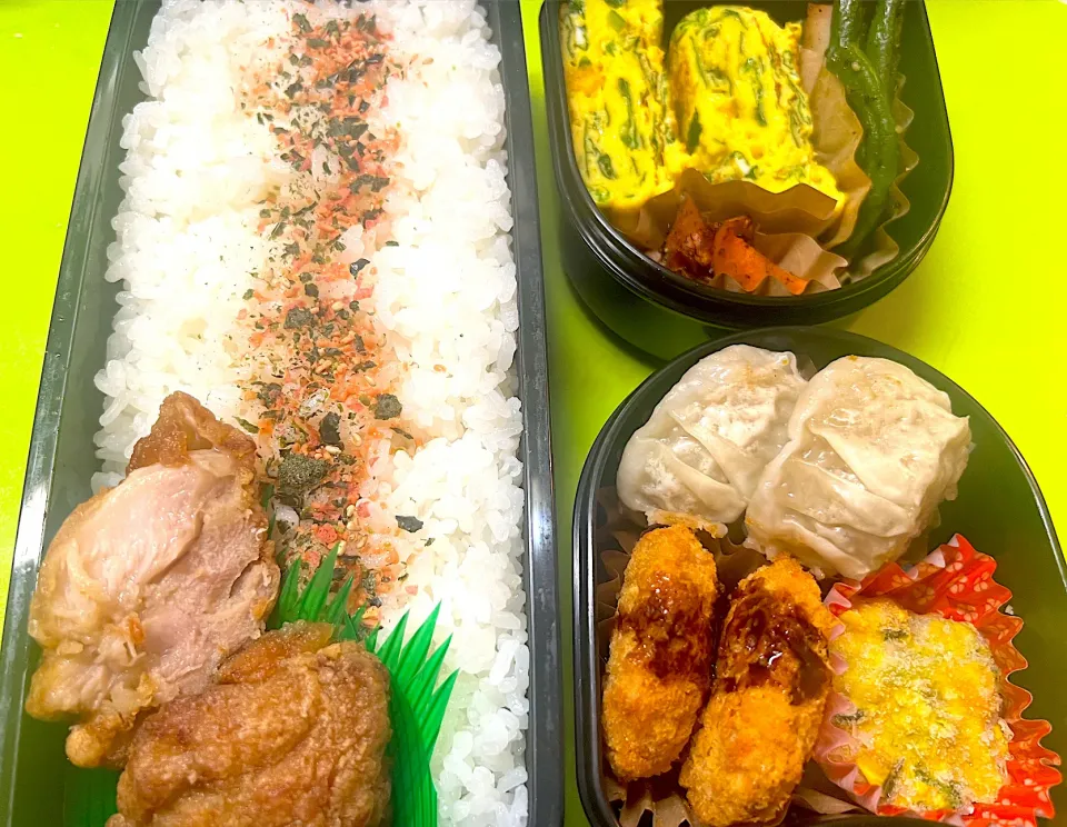 Snapdishの料理写真:高1息子のお弁当(金)🌈5月ラストー！|KCoさん