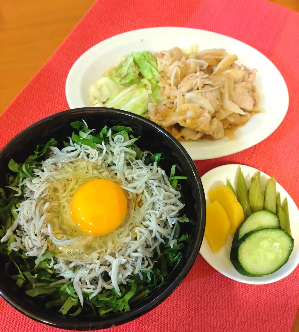 ☆しらす丼
☆豚肉しょうが焼き
☆漬物|chikakoさん