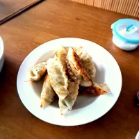 군만두
(Grilled Dumpling)|EKIDNA.1さん