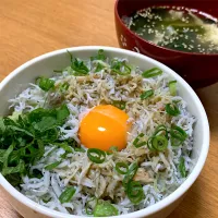 しらす丼|りんごあめさん