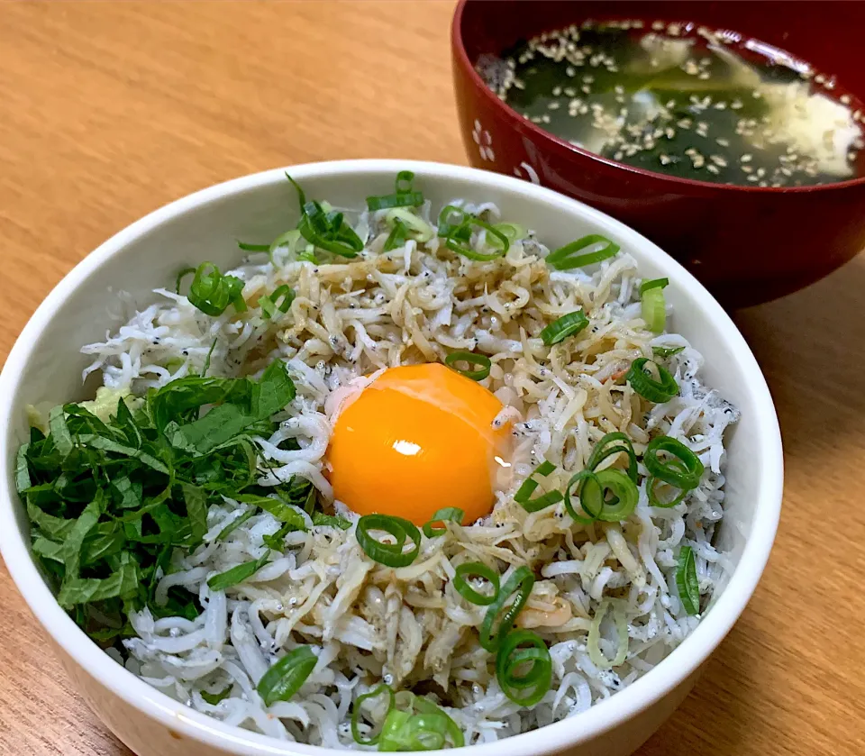 しらす丼|りんごあめさん