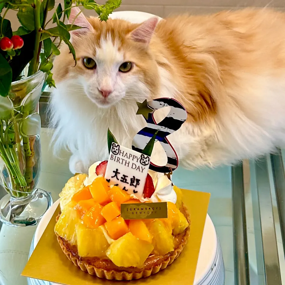 下僕用🎂誕生日ケーキ|にゃあ（芸名）さん