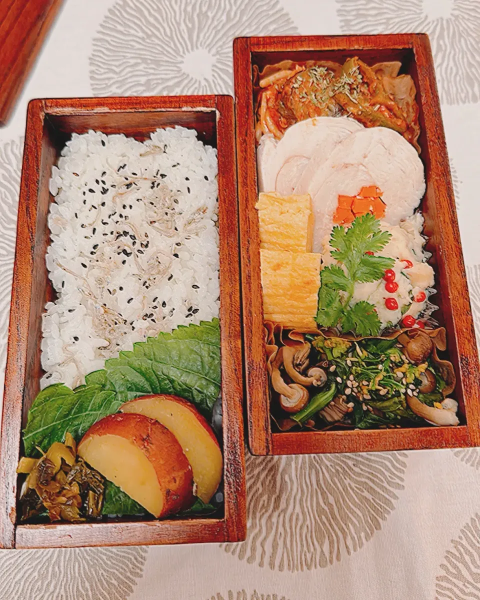 今日のお弁当🍱|すぅさん