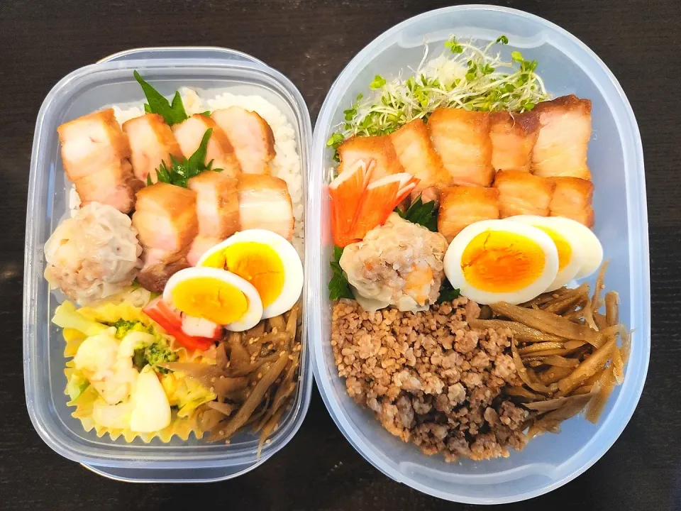 Snapdishの料理写真:お弁当🍱|acoacoさん