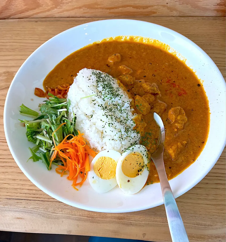 スパイス香るチキンカレーをいただきました。|花鳥　舞さん