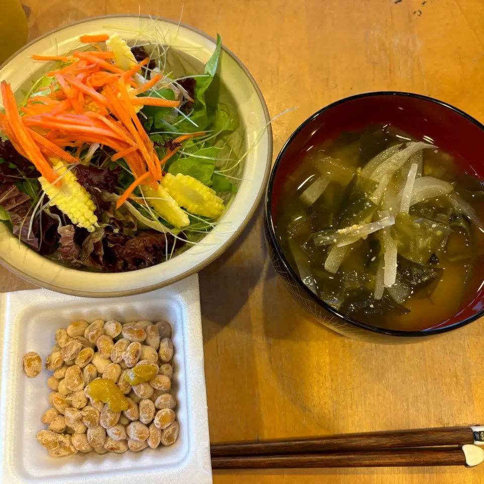 野草仲間の野草料理(◍•ڡ•◍)❤|いつみさん