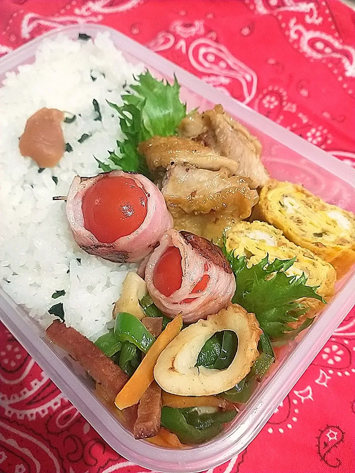 ピーマン炒めもも照り焼き弁当|yayoi.Kさん