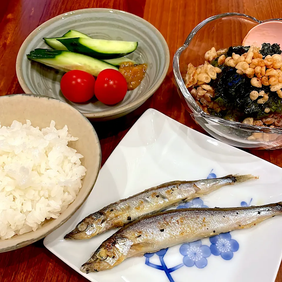 ガーリックバジルししゃも　味噌きゅうり　めかぶ納豆|とゆあさん