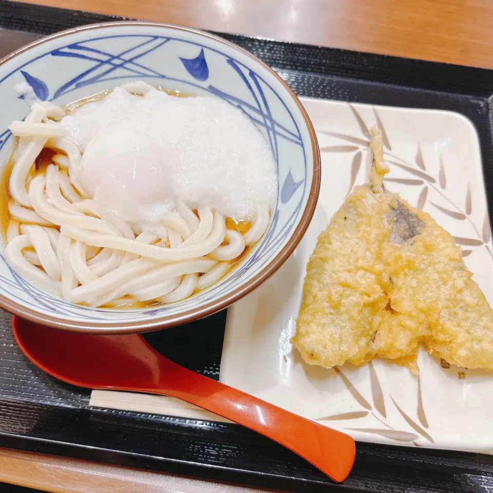 晩ご飯|まめさん