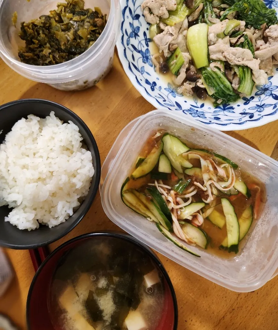 豚肉とチンゲン菜の中華炒め、きゅうりとかにかまの酢の物、豆腐とわかめの味噌汁、高菜めんたい|さきさん