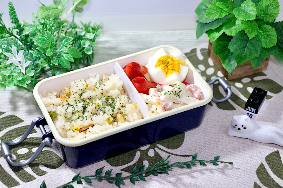 今日のお弁当 24/06/10|しげさん