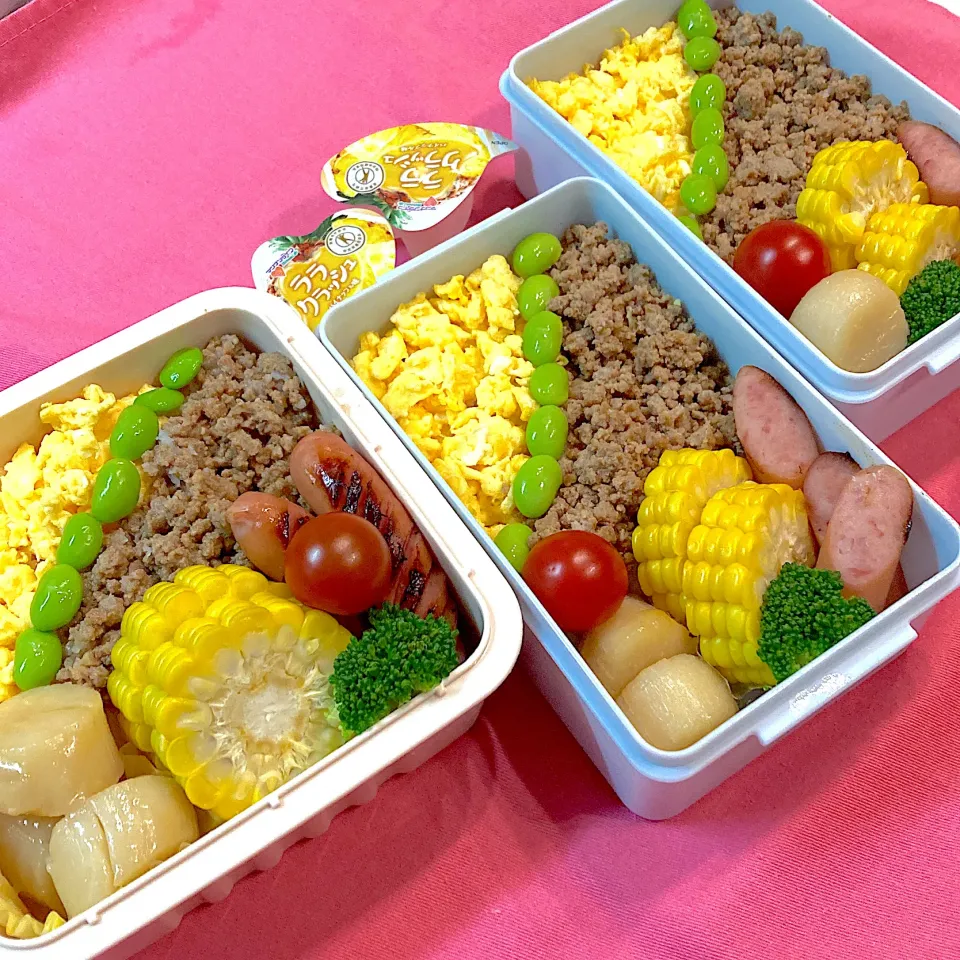 三色弁当|R☆Mさん