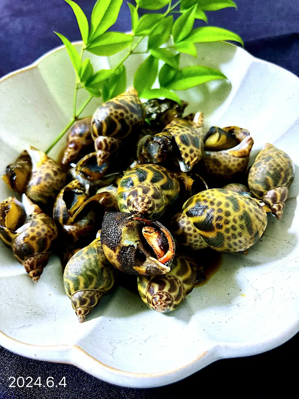 バイ貝の煮付け|オーロラさん