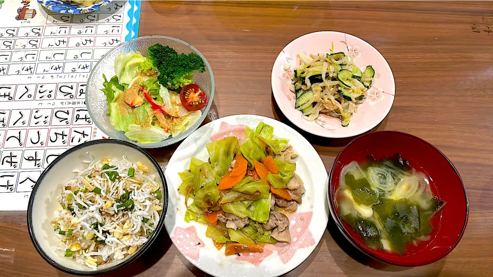 Snapdishの料理写真:しらす丼　キャベツと豚こまの蒸し焼き　長ねぎとわかめの味噌汁　きゅうりともやしのツナナムル　胡麻ドレサラダ|おさむん17さん