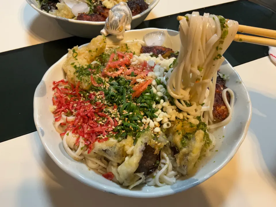 イカ天、ナス天、さつま揚げなどで冷やしうどん|Takeshi  Nagakiさん