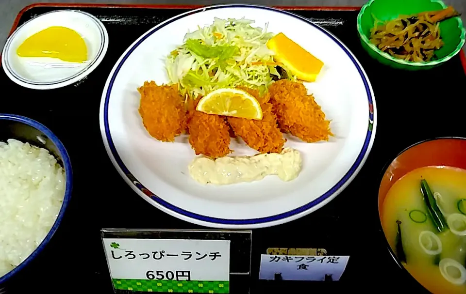 カキフライ定食　札幌市白石区役所食堂日替わり定食|nyama1さん