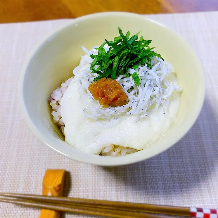 とろろご飯|ひさ乃さん