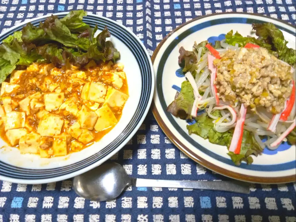 今日のご飯。麻婆豆腐ともやし肉ねぎ味噌サラダ。|りささん