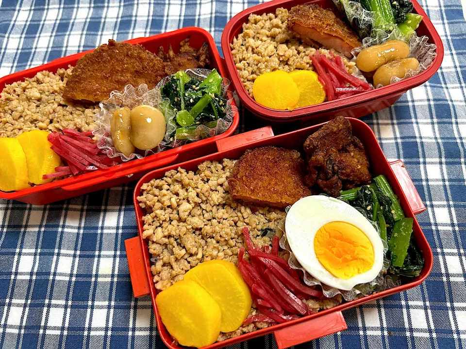 鶏そぼろ弁当|kiusoudaiさん