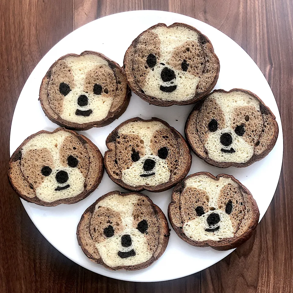 シーズーのだんめんパンを焼きました|izuyoさん