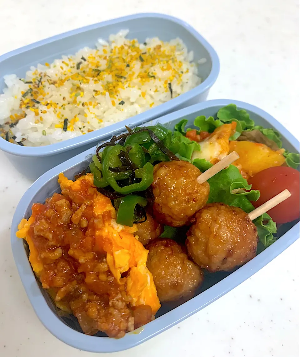 今日のお弁当6月13日|corocoroさん