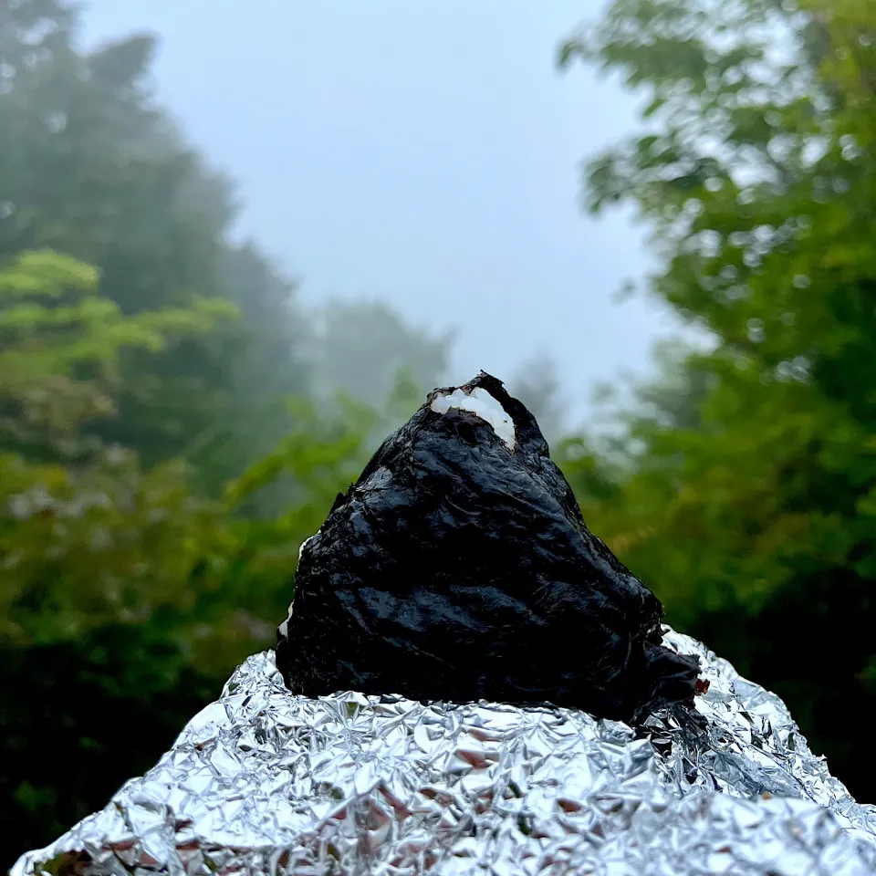 雨が止まなかった日のおにぎり山|deekay71さん