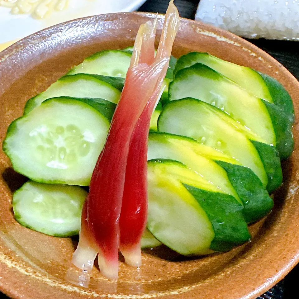 胡瓜の味噌漬けと酢取茗荷|たまさん