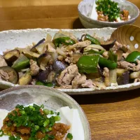 Snapdishの料理写真:茄子とピーマンと豚肉の味噌炒め| yoyoyoさん