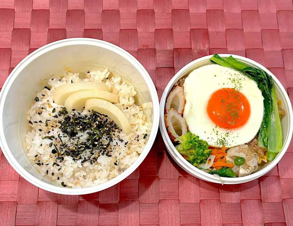 Snapdishの料理写真:中学生息子のお弁当🍱 ルーローハン風弁当🍱|Snow10さん