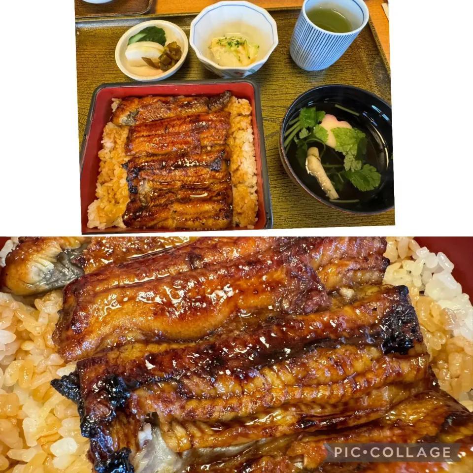 実家へ。ランチは行きつけの鯉清さんで鰻重、肝吸いを。美味しくいただきました。母の食が細くなってきたのは歳とはいえ残念。|sniper66さん