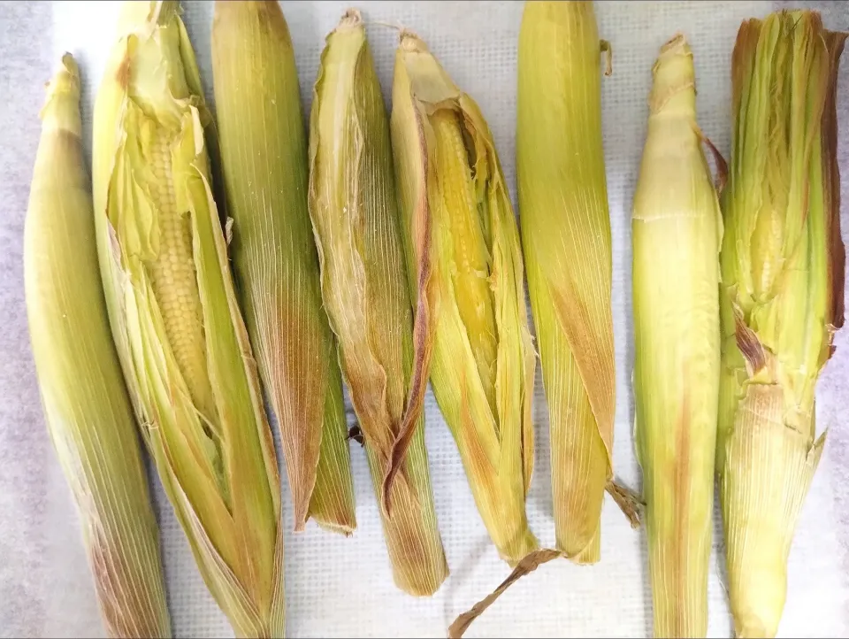 ベビーコーンオーブン焼き|112さん