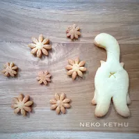 猫ケツクッキー🐈⸒⸒⸒⸒ネコケツ😸