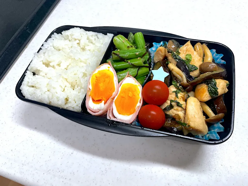 6/17 旦那弁当⁂ささみとなすの甘辛大葉炒め弁当|ゆさん