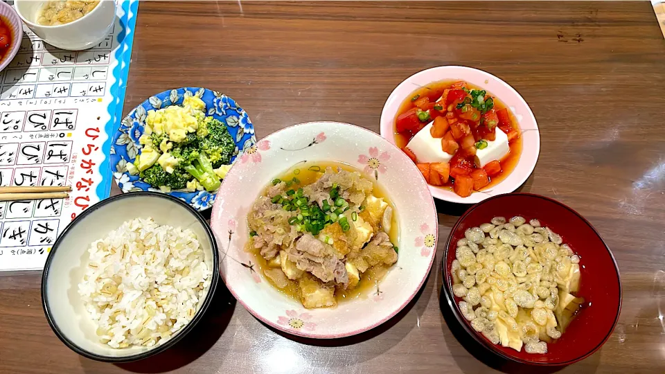 Snapdishの料理写真:豚こまと厚揚げのおろし煮　ごぼうと豆腐の味噌汁　トマトの中華風冷奴　ブロッコリーの卵マヨサラダ|おさむん17さん