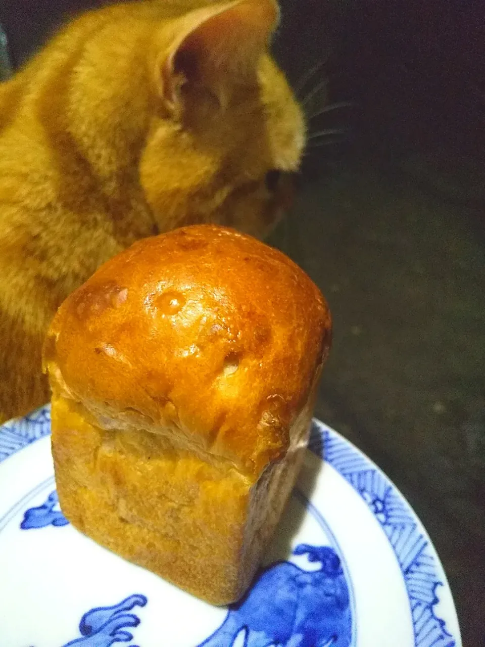 東京おみやげ
ジョエル・ロブション
のパン🍞美味しい( *ﾟAﾟ)✨|さくらんぼさん